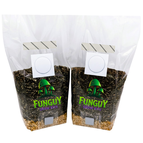 Pack all in one mushroom - 2-pack,